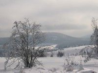 /album/fotogalerie/leden-2010-046-jpg/